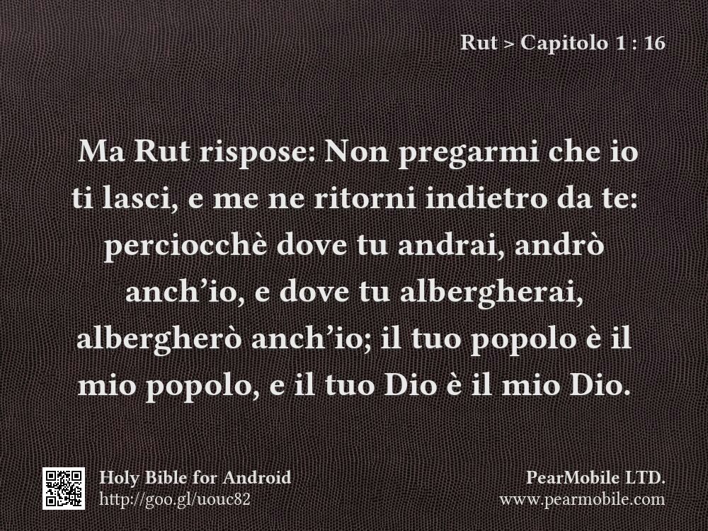 Rut, Capitolo 1:16